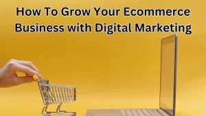 Digital marketing ecommerce business website