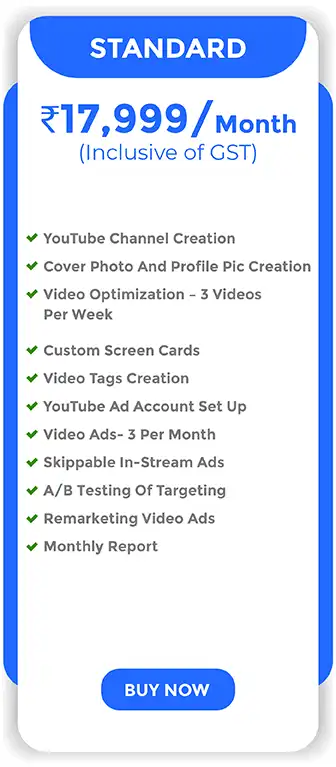 DigitalTechz - Top YouTube Advertising Agencies cost video optimization per month